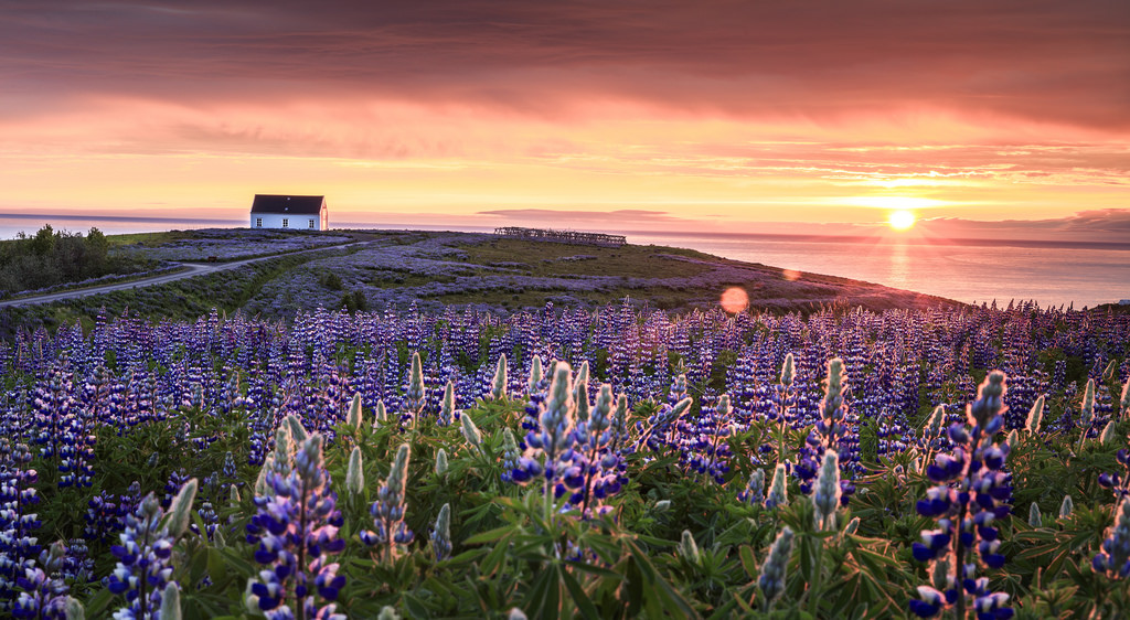 Icelandic Sunset