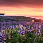 Icelandic Sunset