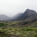 icelandic.moss.