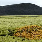 Iceland`s Farben II