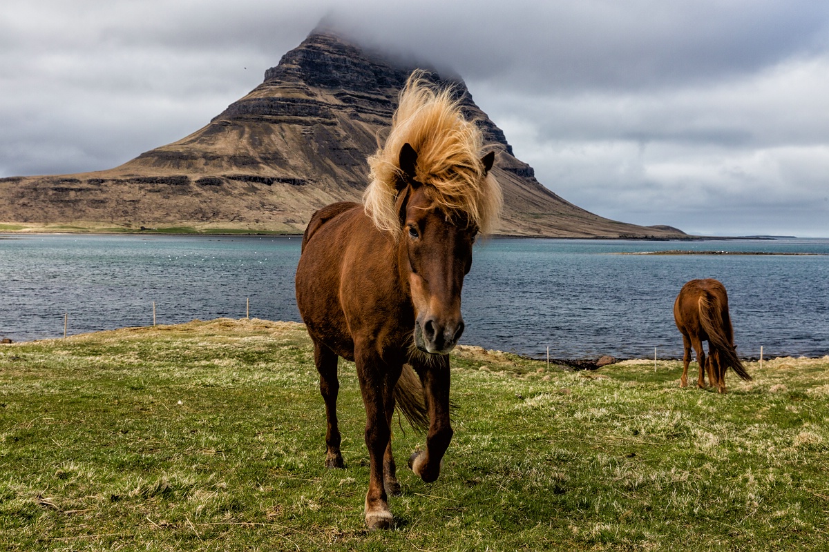 Iceland......stürmisches Shooting am Kirkufell :-)))