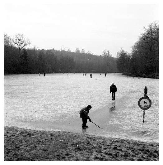 Iceskating / Hunde nicht erlaubt