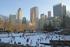 Iceskating in Central Park