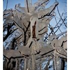 ice.tree