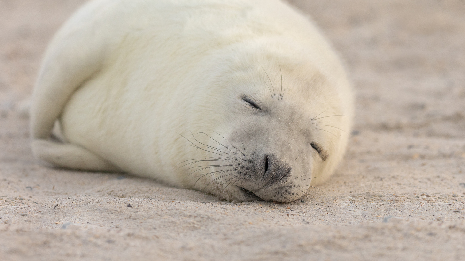 Ich am Montag-Morgen