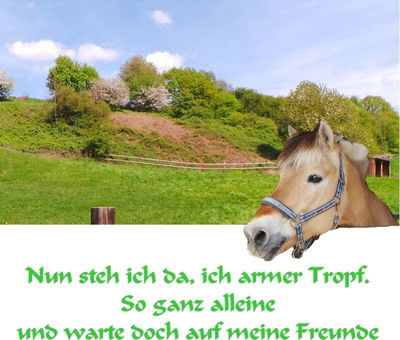 Ich armer Tropf/aus meinem Fundus