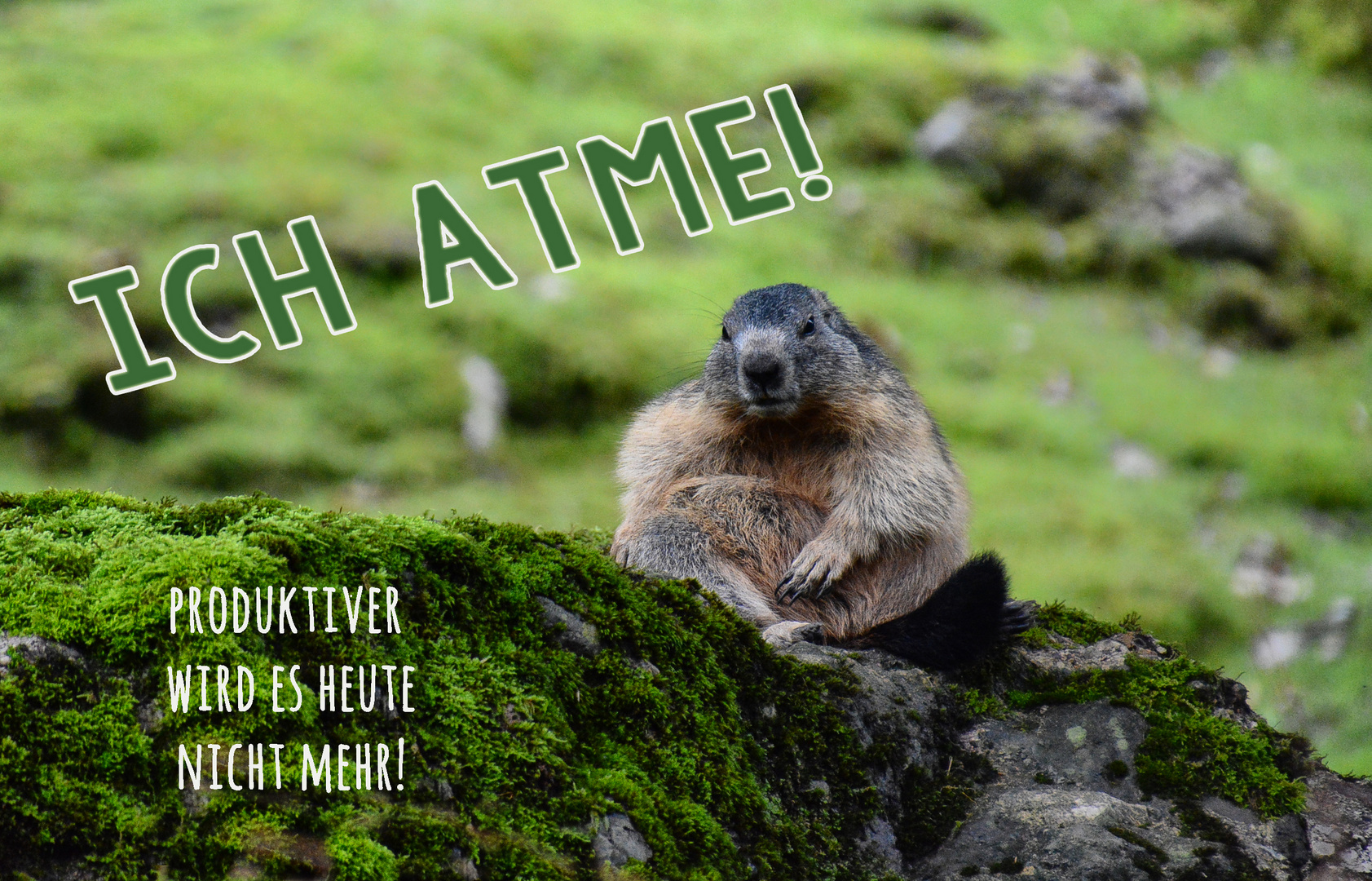 ich atme Foto & Bild karte, spruch, humor Bilder auf