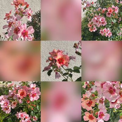 Ich bedanke mich hiermit bei allen