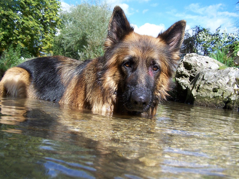 Ich beim Baden