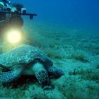 Ich beim Filmen im Roten Meer