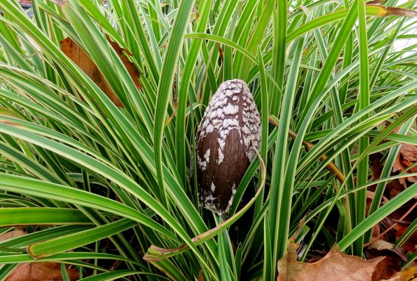 Ich bekomme Ostergefühle