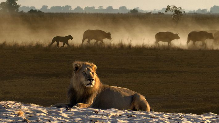 ... ich beobachte das mal ...