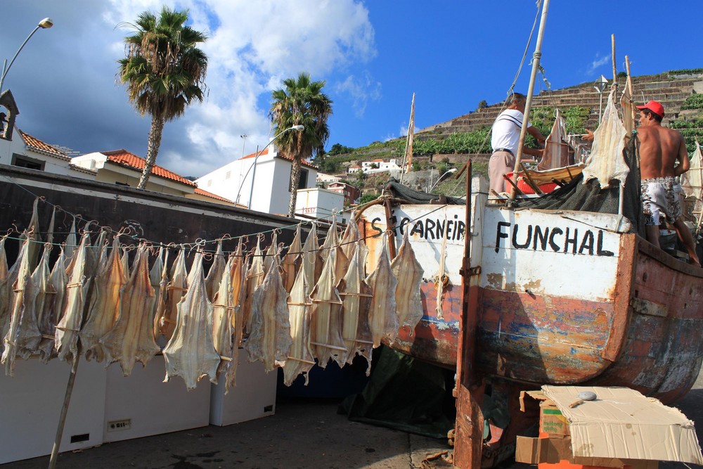 Ich bezweifel dass man den Fisch wirklich essen kann