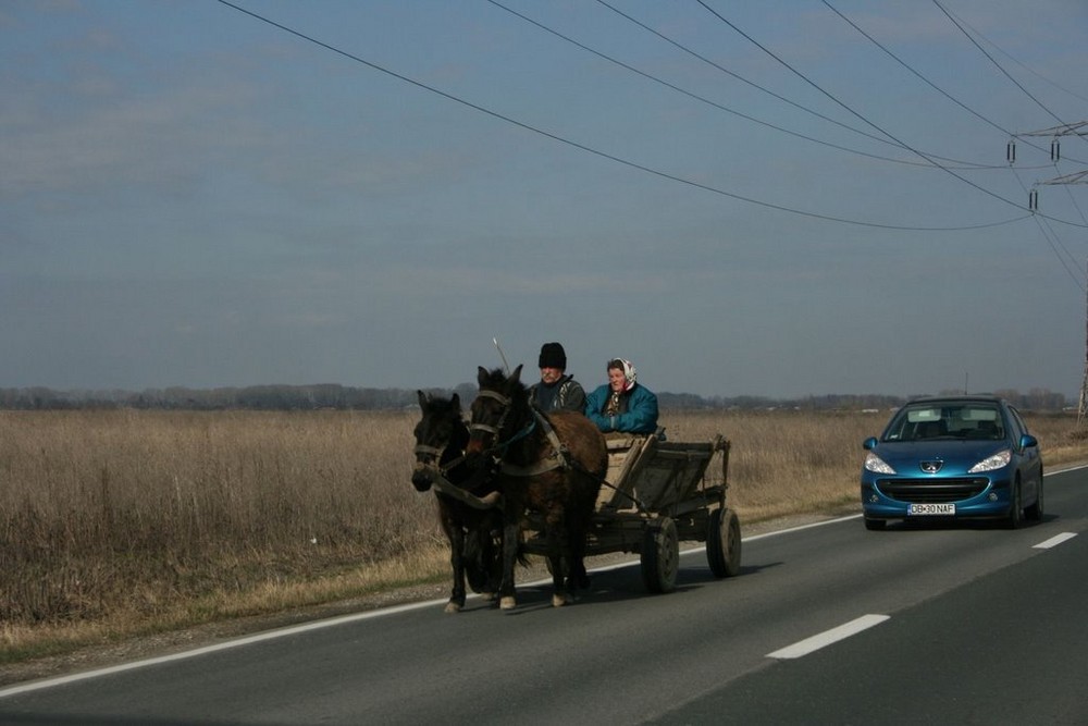 ich bin auch ein auto