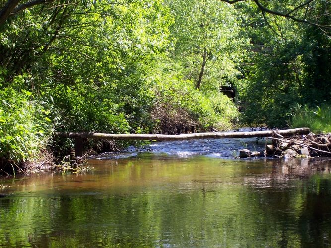 Ich bin auch eine Brücke...