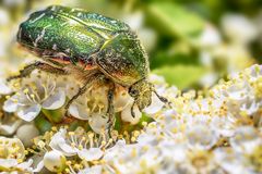 "Ich bin auch schon da!"
