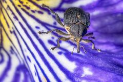 "Ich bin auch schon wieder da!"