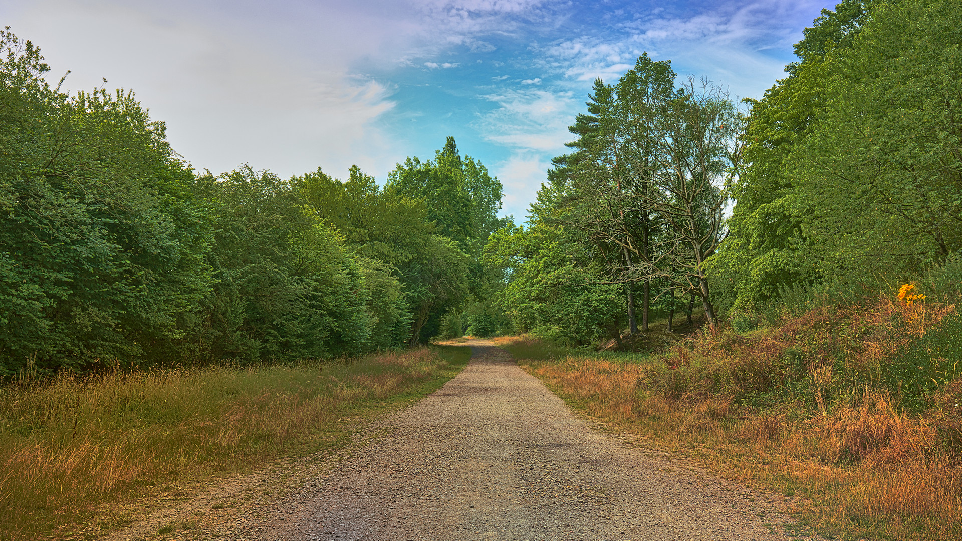 Ich bin auf dem Weg