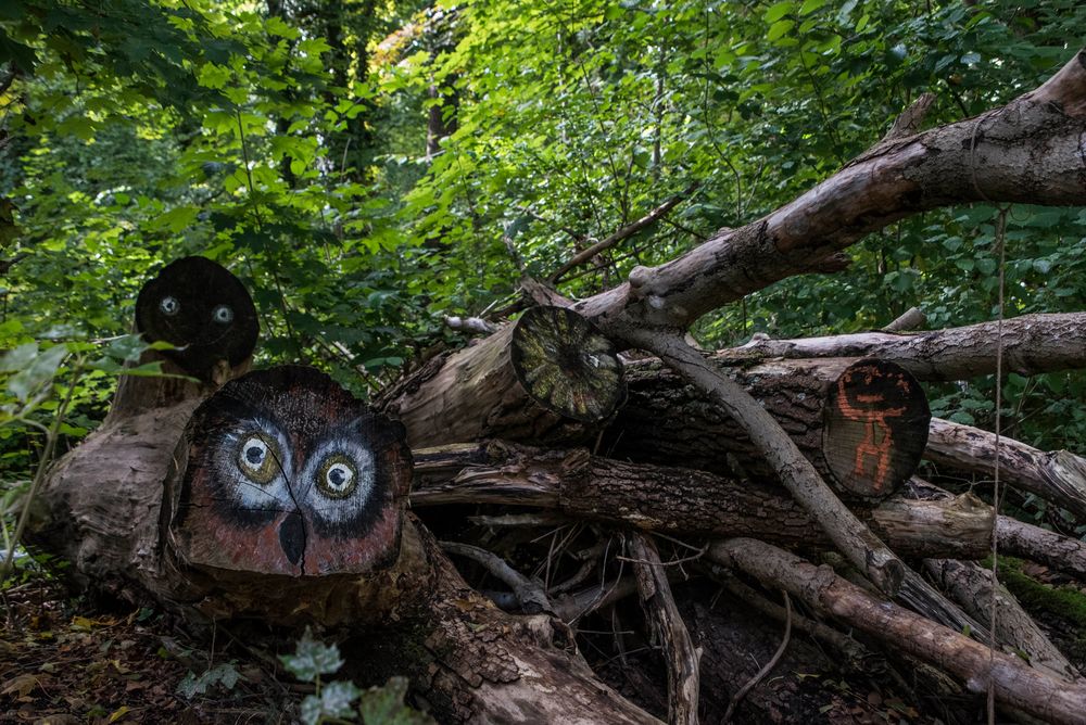 ich bin dann mal im Bayrischen Wald