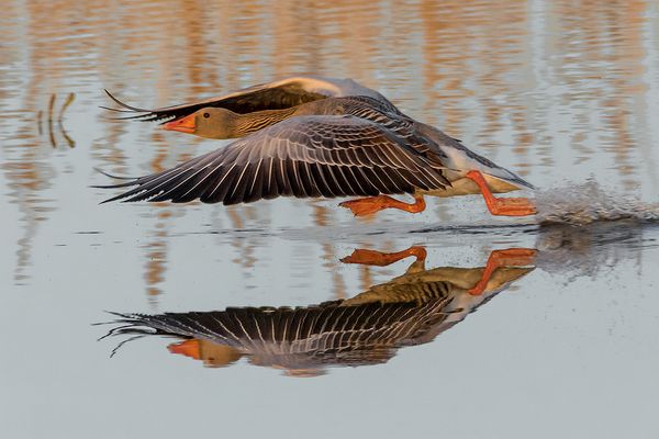 Ich bin dann mal kurz weg...