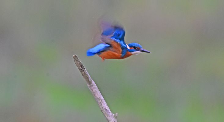 Ich bin dann mal schnell weg!!!!