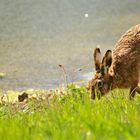 "ich bin dann mal schon auf dem Weg..." (1v3, Archiv)