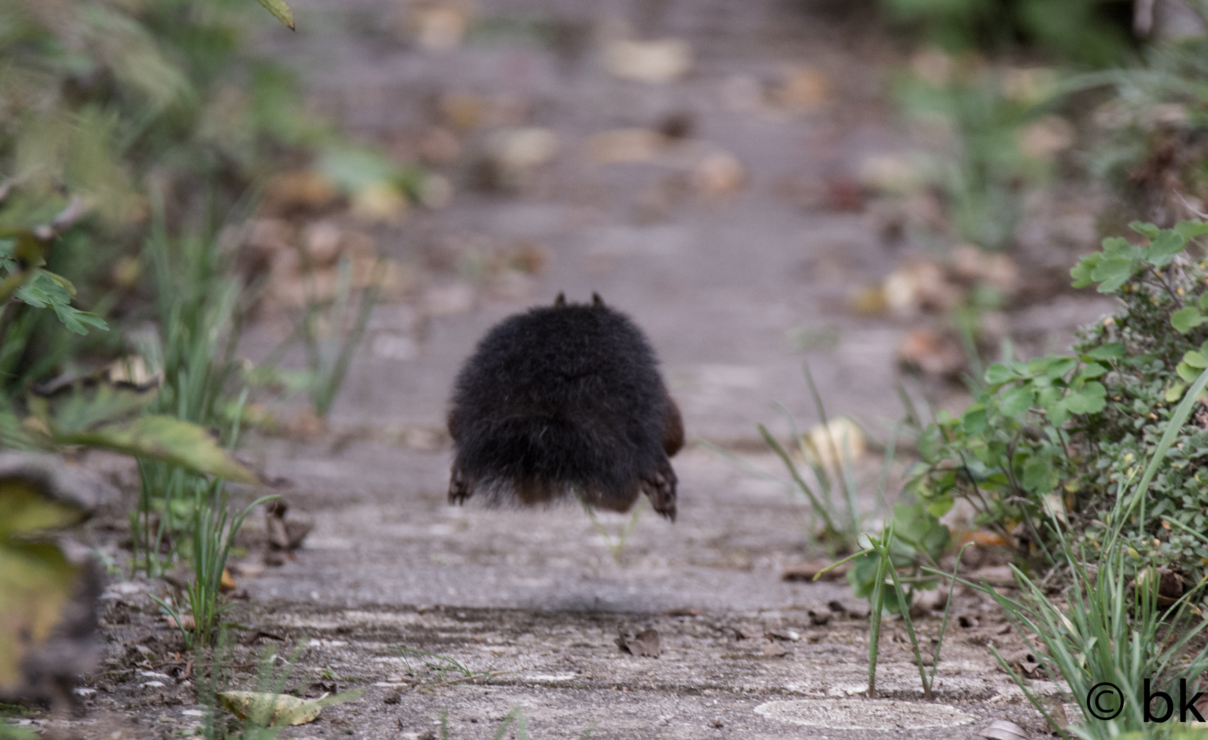 ich bin dann mal weg...........