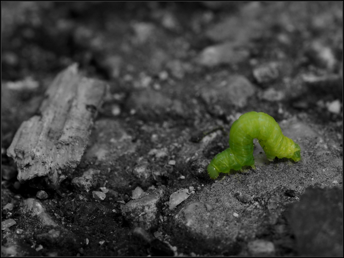 "Ich bin dann mal weg ..."