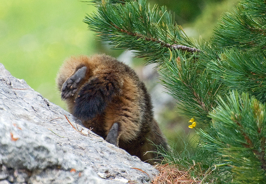 Ich bin dann mal weg...