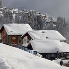 Ich bin dann wieder mal  im Schnee, auf der Riederalp