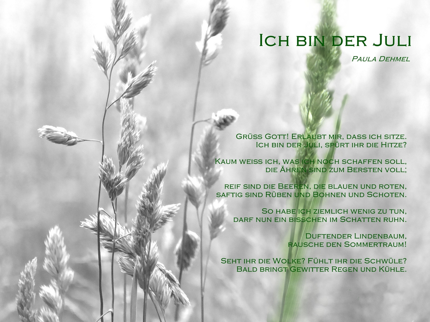 Ich bin der Juli Foto & Bild karten und kalender, karten 2015