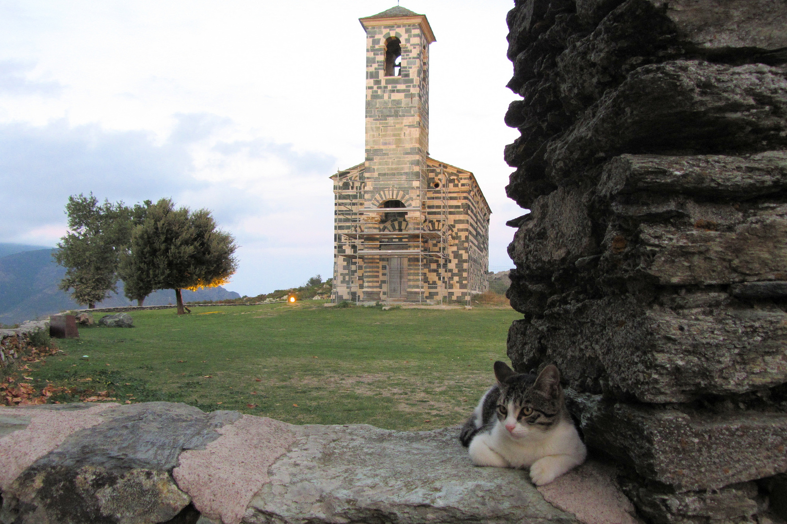 ich bin der kleine Kirchenkater