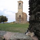 ich bin der kleine Kirchenkater