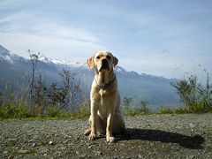 Ich bin der König der Berge