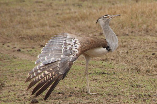 Ich bin der Schönste