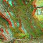 Ich bin der Wald [3D]