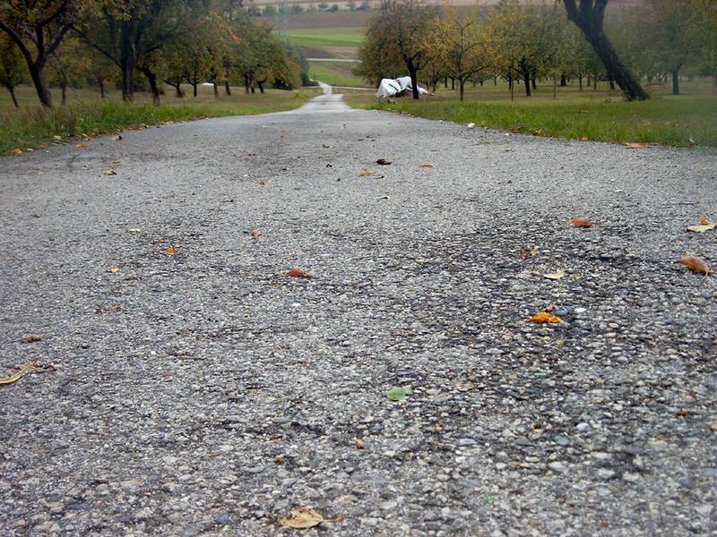 Ich bin der Weg die Wahrheit und das Leben!