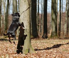 Ich bin doch größer als mein Schatten! ;0))