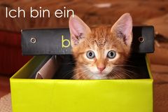 Ich bin ein (B)engel!