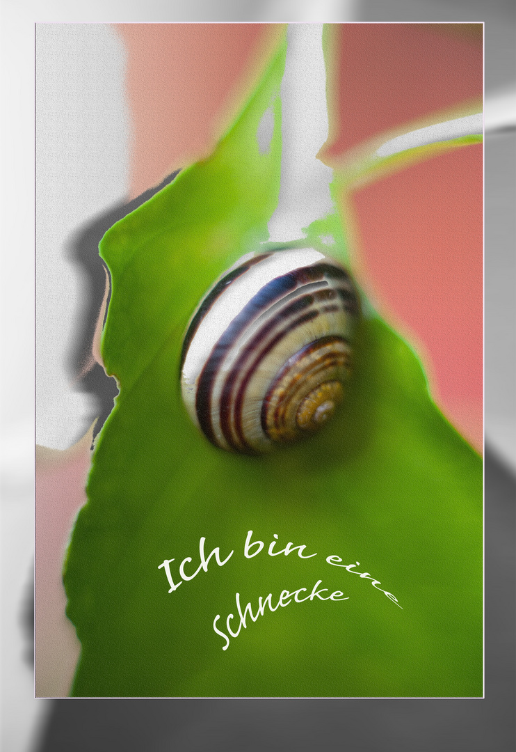 Ich bin eine Schnecke