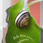 Ich bin eine Schnecke