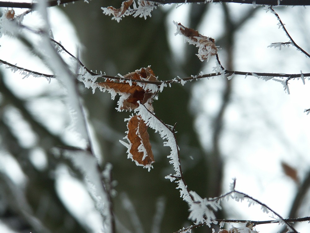 Ich bin im Winterschlaf:-)