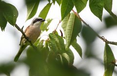"Ich bin ja schon um das hier froh ...."