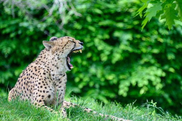 Ich bin ja sooo müde!