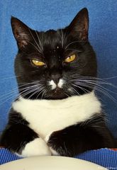 Ich bin noch nicht satt!