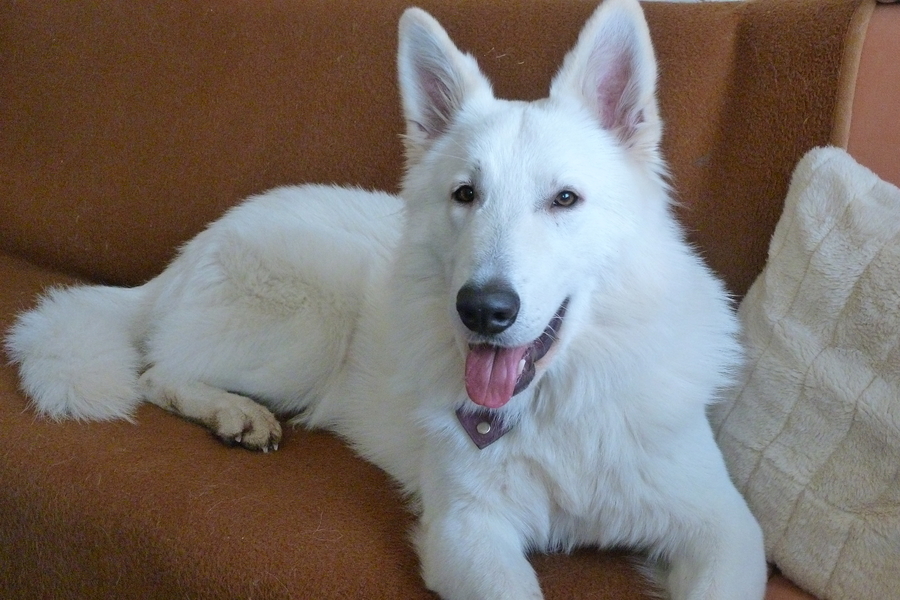 ich bin schneller auf der Couch als Mama ;-)