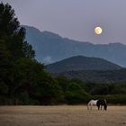 Ich bin so wild auf Deinen Erdbeermond