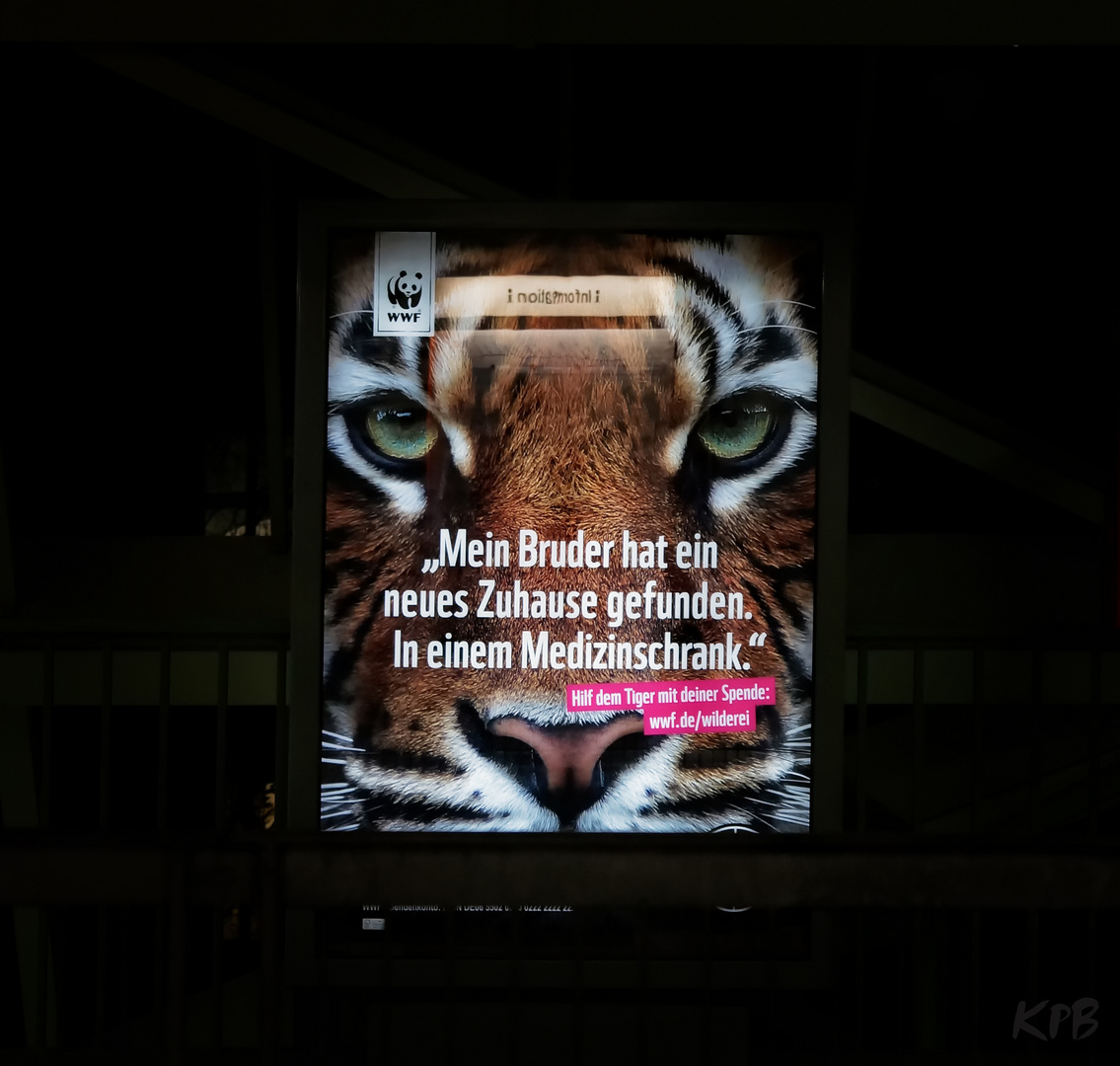 Ich bin traurig&hellip;&hellip;.. Foto &amp; Bild tiere, wildlife, säugetiere