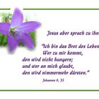 Ich bin-Worte Jesus