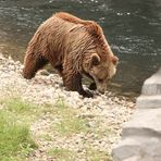 Ich bin zwar nicht Knut aber trotzdem schön!!!